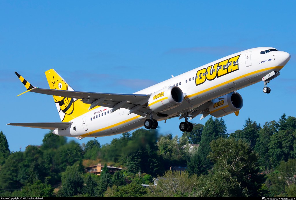 BUZZ 737-8-200 taking off with its Bee livery